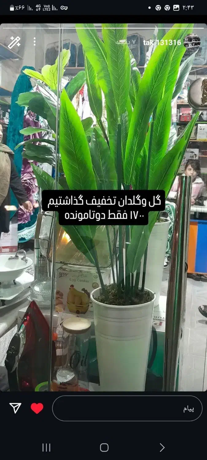 گل وگلدان|گل مصنوعی|میانه, |دیوار