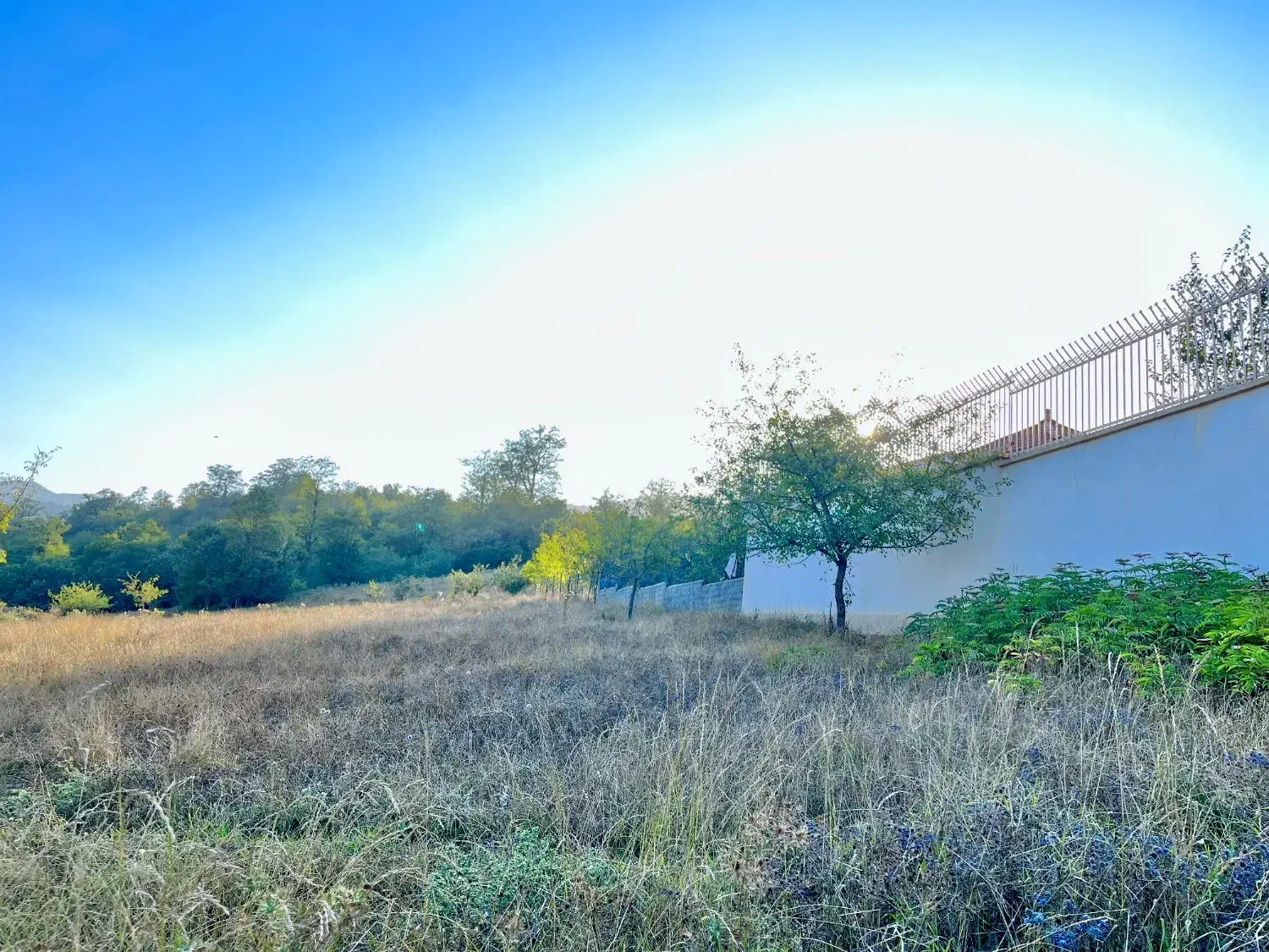 فروش زمین چسبیده به بافت افراتخته کوچه راهدارخانه|فروش زمین و ملک کلنگی|علیآباد کتول, |دیوار