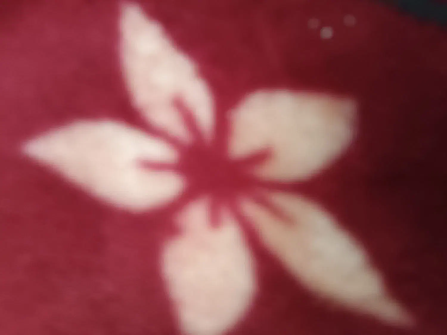 دوتا قالی کهنه و دست دوم|فرش|شهرکرد, |دیوار