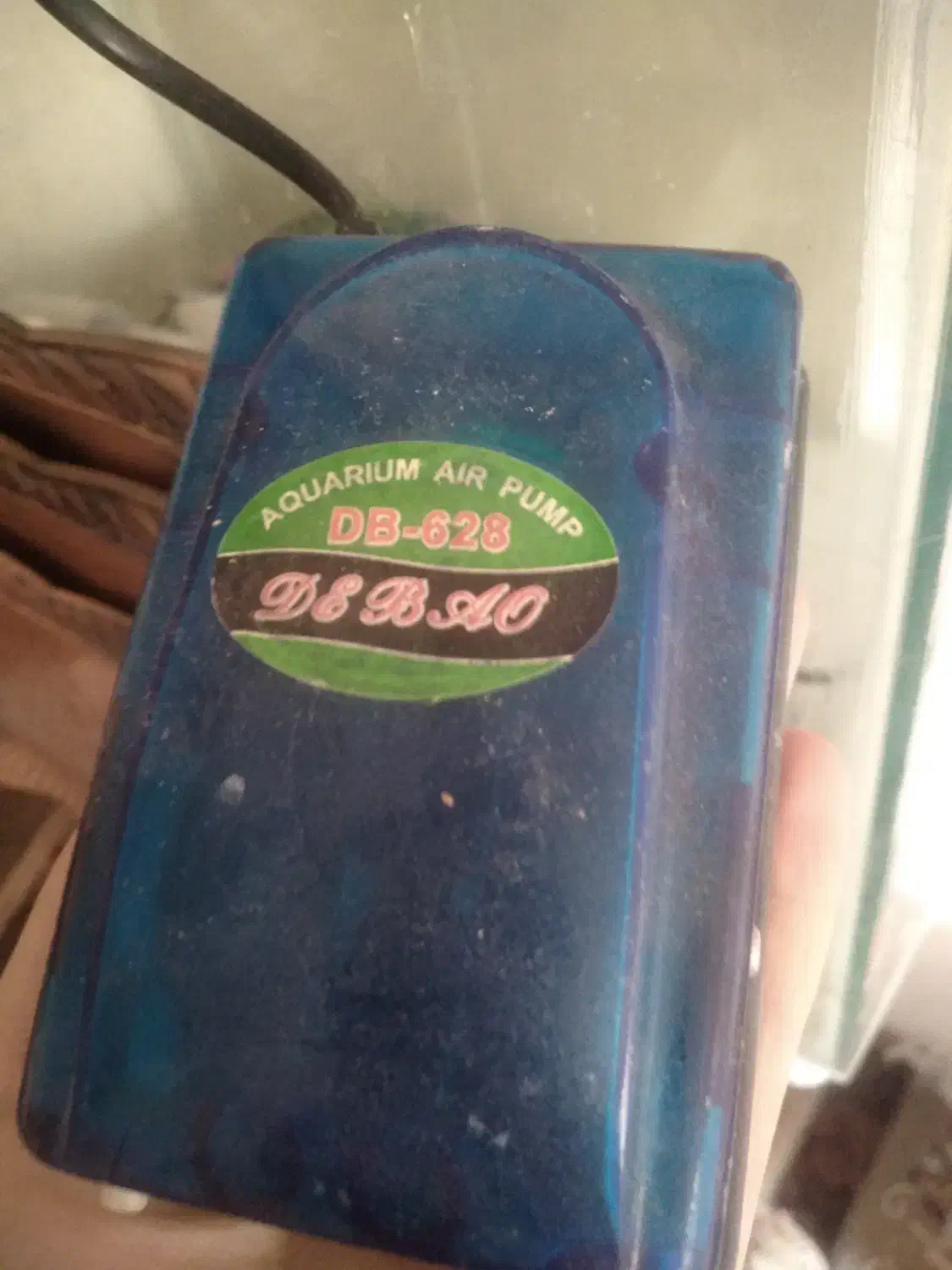 آکواریوم|ماهی|مبارکه, |دیوار