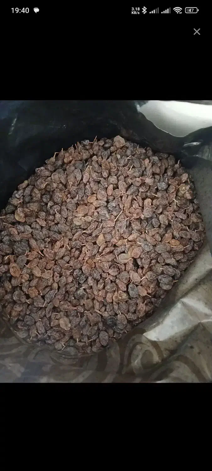 کشمش بواناتی بدون هسته|خوردنی و آشامیدنی|شیراز, کوشک بیدک|دیوار
