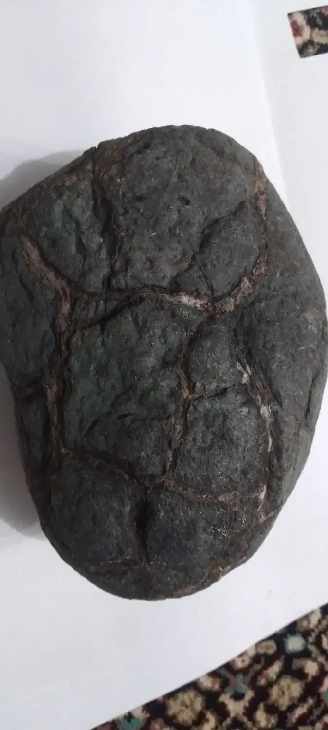 سنگ مشکوک به شهاب|کلکسیون اشیاء عتیقه|تربت‌حیدریه, حاجی یار‎|دیوار