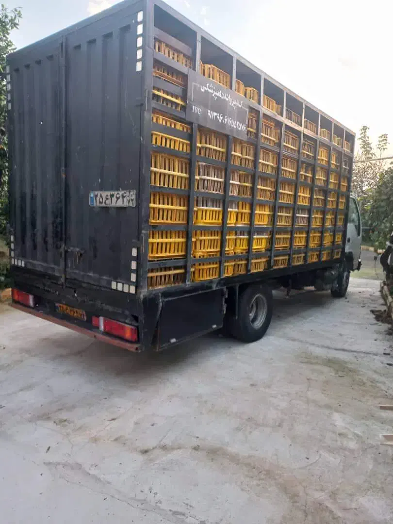 فروش یک دستگاه ماشین ایسوزو مرغی|خودرو سنگین|خرم‌آباد (تنکابن), |دیوار