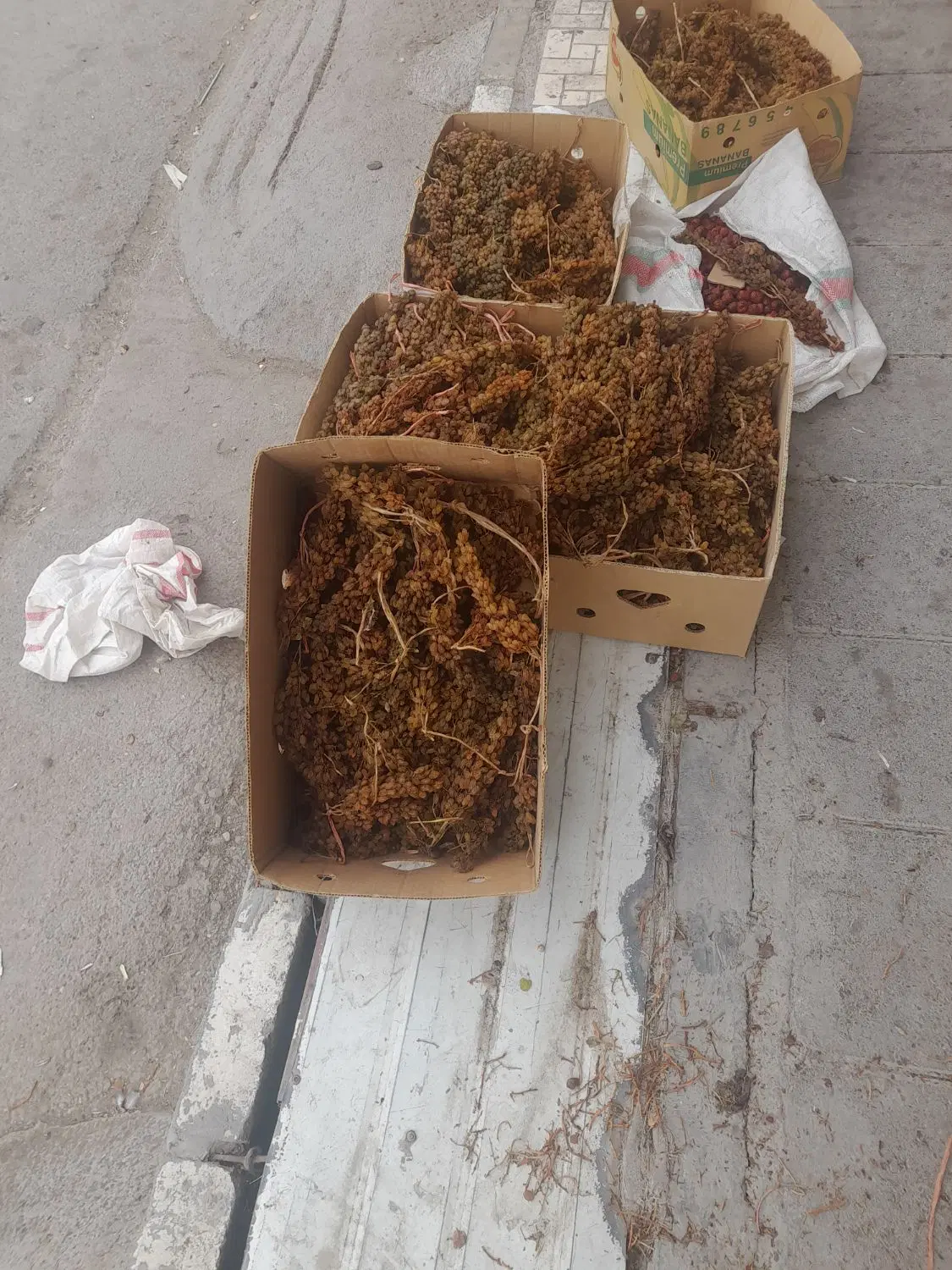 کشمش|خوردنی و آشامیدنی|شیروان (خراسان), |دیوار
