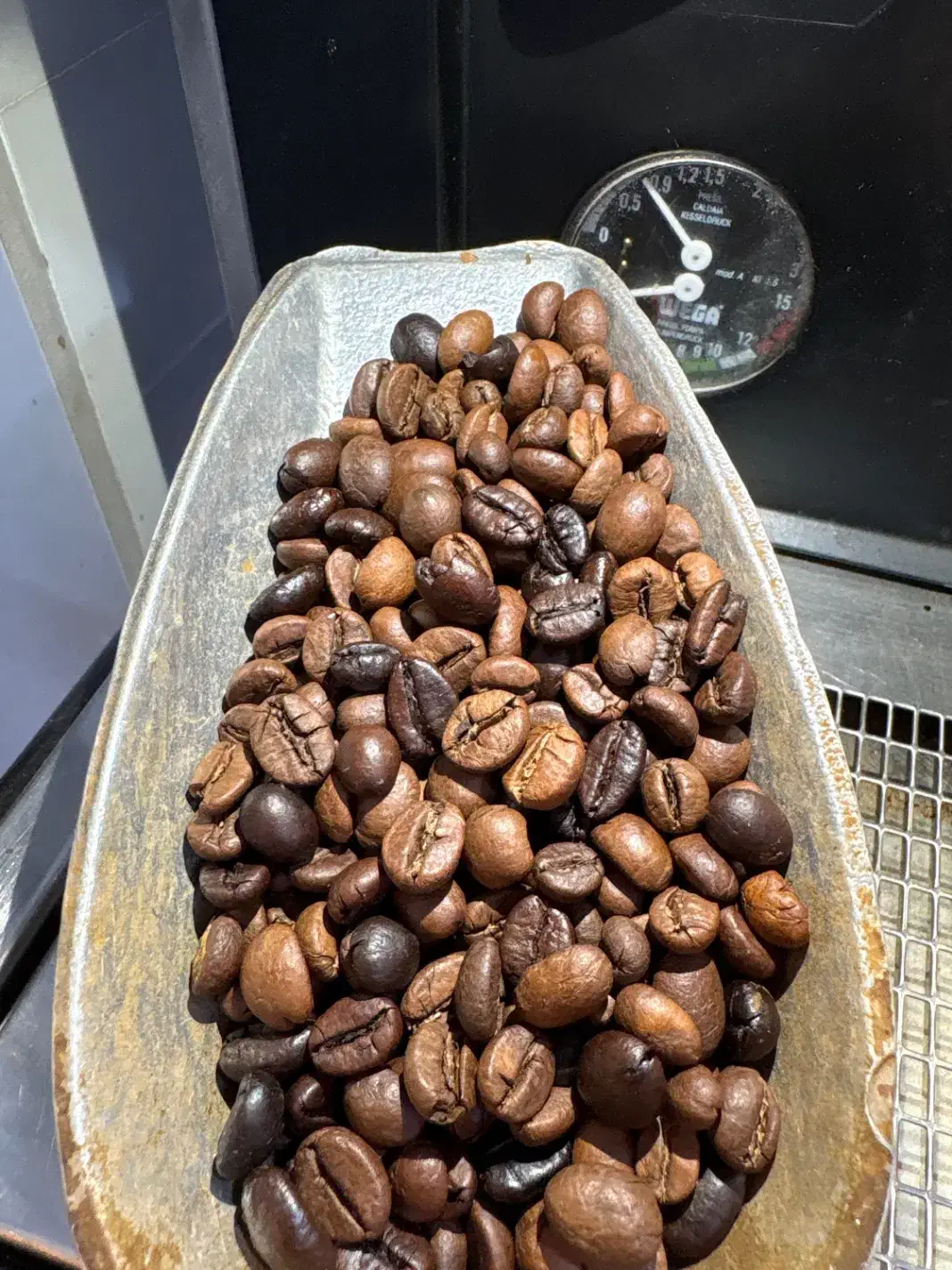 فروش عمده قهوه و شکلات|کافی‌شاپ و رستوران|بندر کنگان, |دیوار