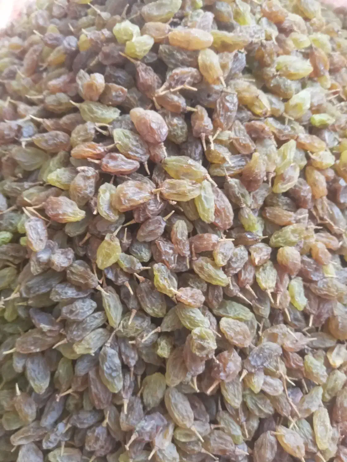 کشمش سایه خشک ارگانیک|خوردنی و آشامیدنی|یاسوج, |دیوار