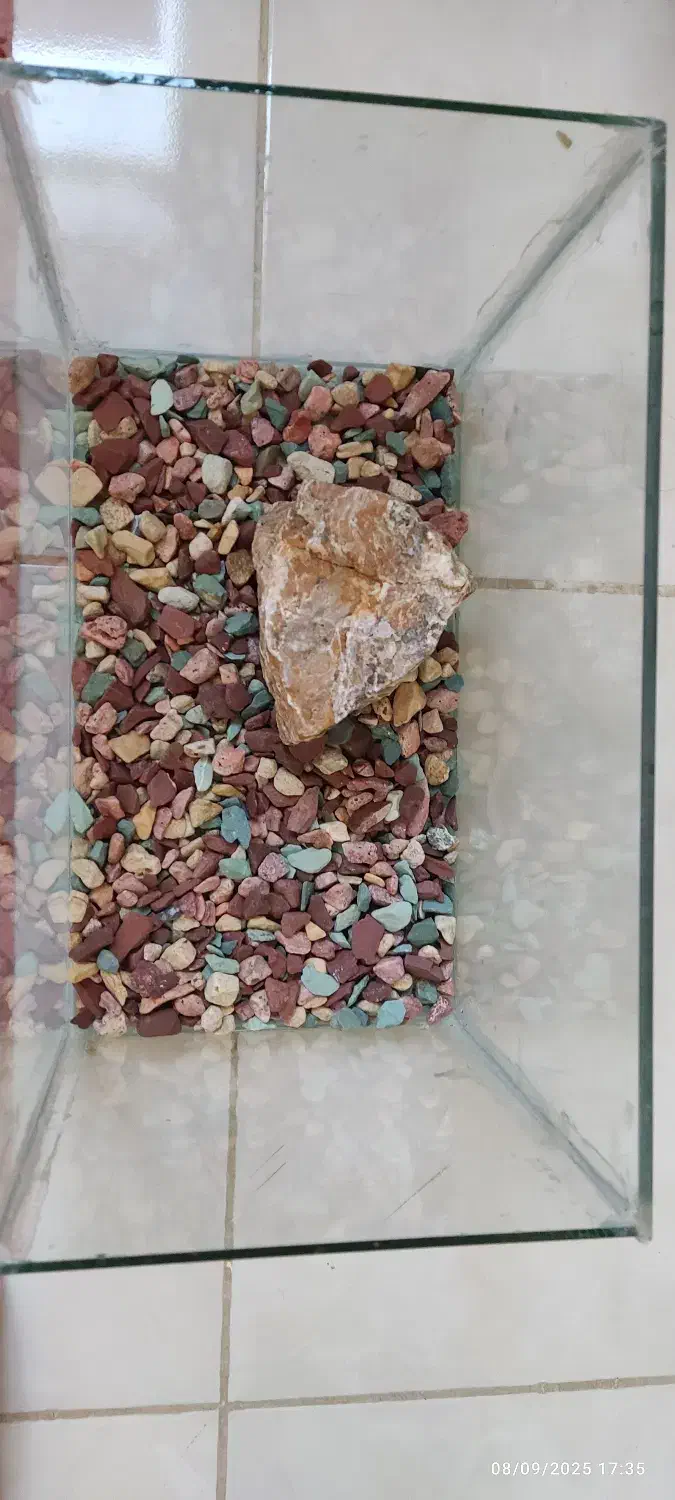 ۲ عدد اکواریوم با سنگ تزئینی و شن|ماهی|فولادشهر, A2|دیوار