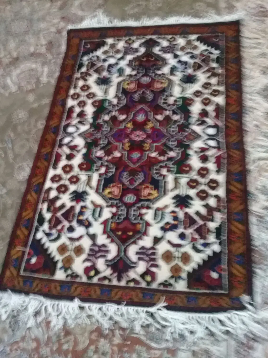 قالی دستبافت نو تازه بریده شده|فرش|ساوه, |دیوار