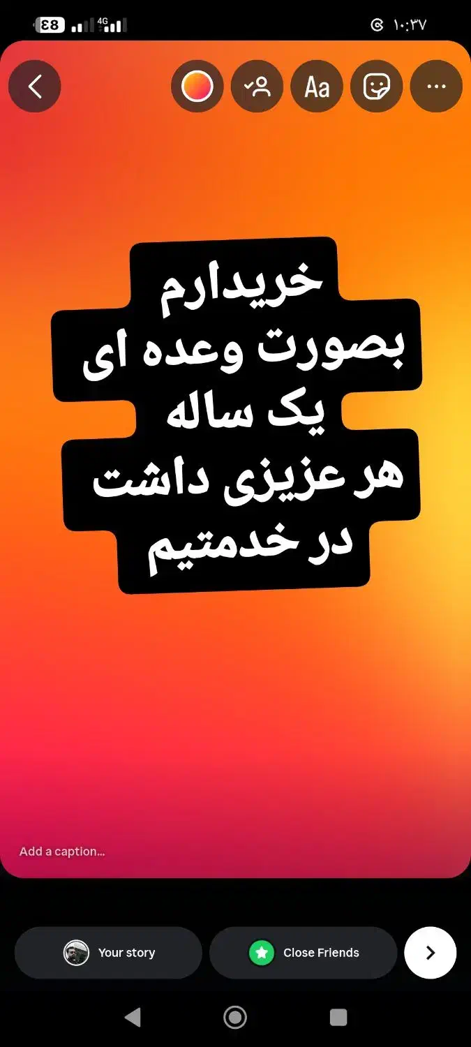 میش بره|حیوانات مزرعه|ساوه, |دیوار