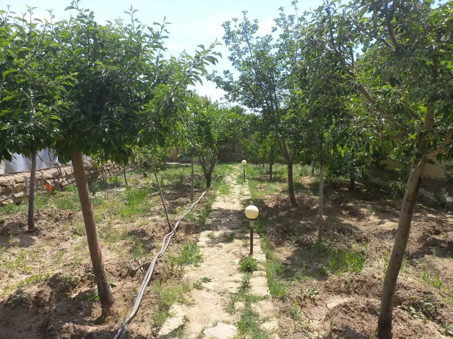 خانه باغ|اجارهٔ کوتاه‌مدت ویلا و باغ|همدان, |دیوار