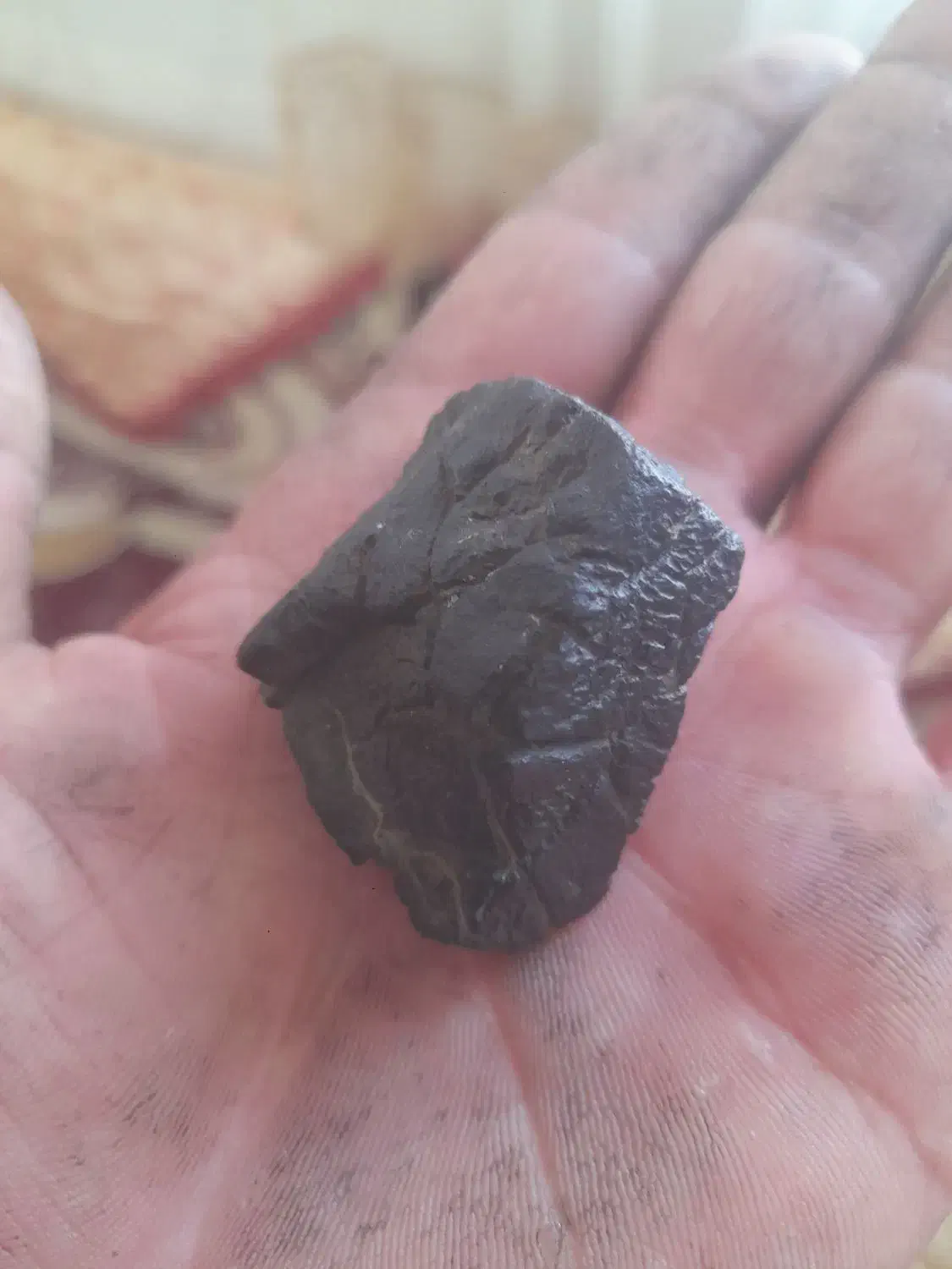 شهاب سنگ|کلکسیون اشیاء عتیقه|اراک, |دیوار