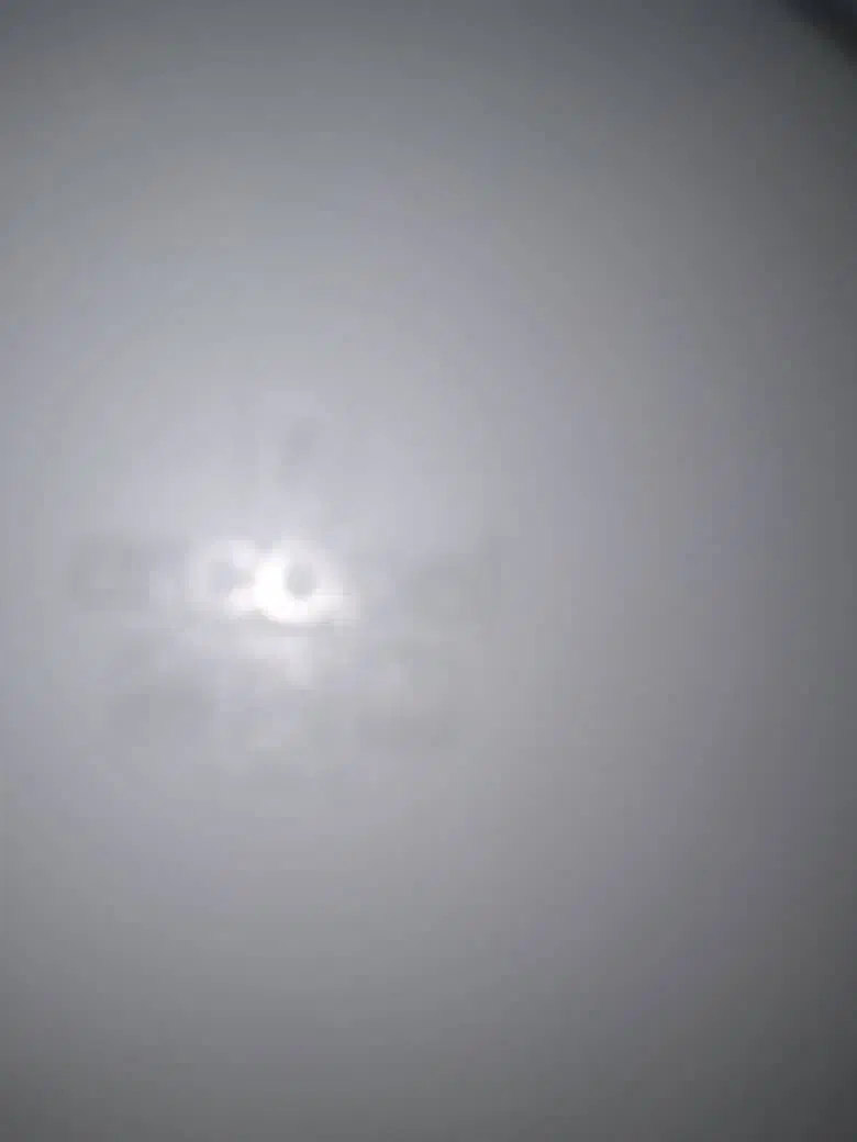 آرکوپال فرانسه مرد کماندار گل فلو|ظروف سرو و پذیرایی|کرج, اصفهانیها|دیوار