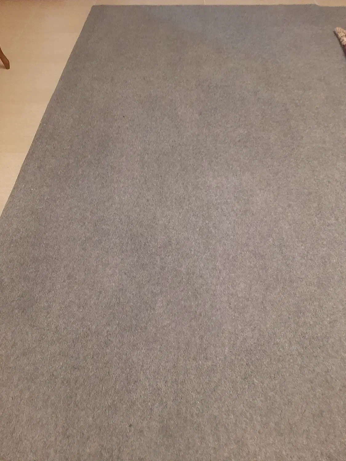 موکت|موکت|تبریز, |دیوار