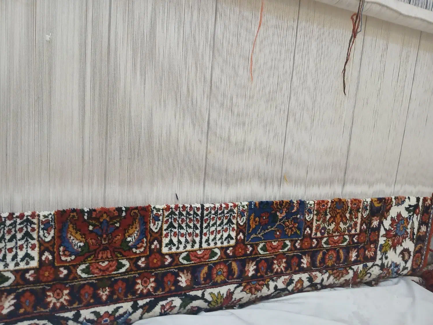 فروش قالی ۲در ۳ تا نیمه خشت اول بافتم|فرش|سامان, |دیوار