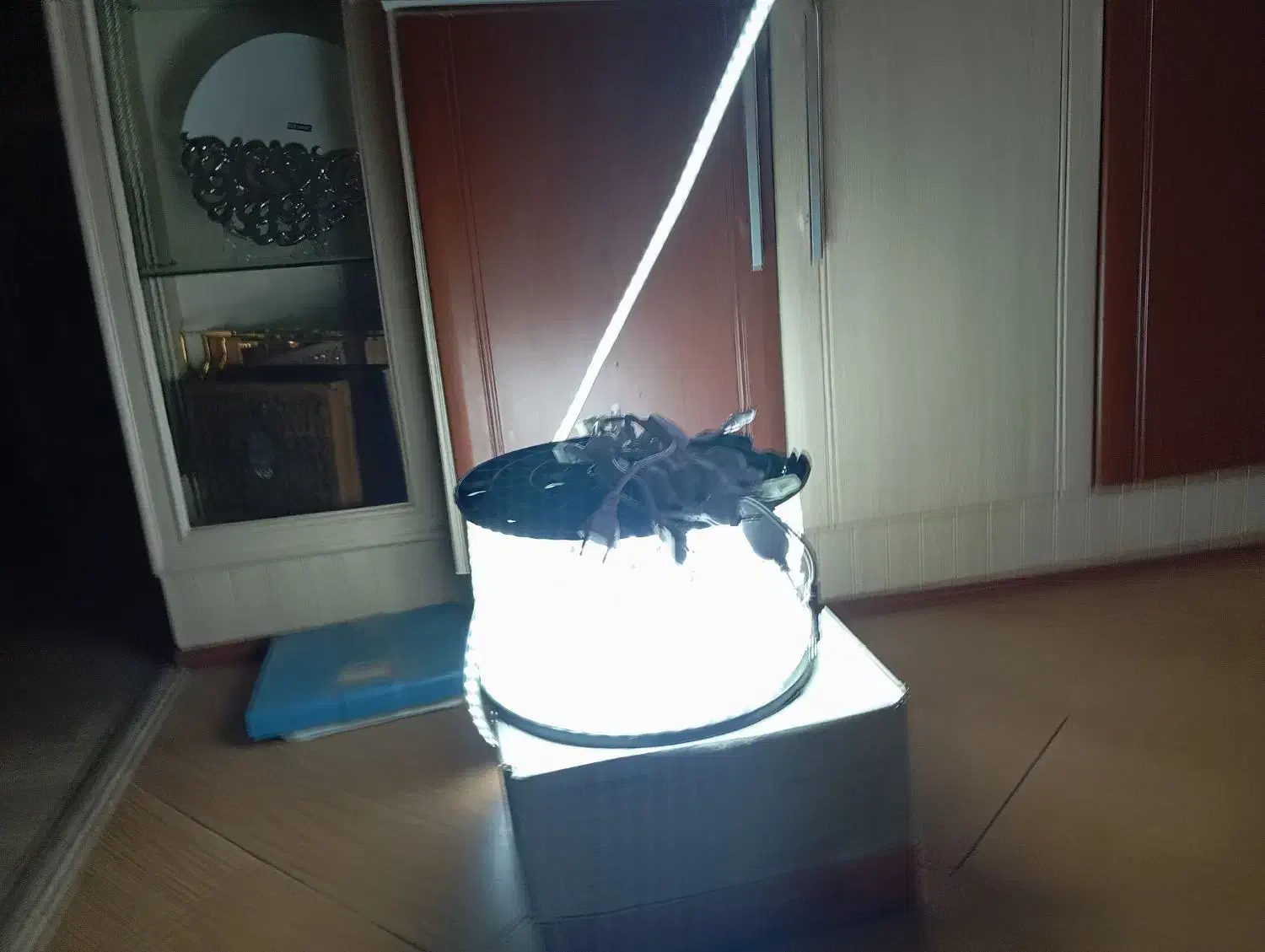 فروش ریسه SMD|ریسه و چراغ تزئینی|ارومیه, |دیوار