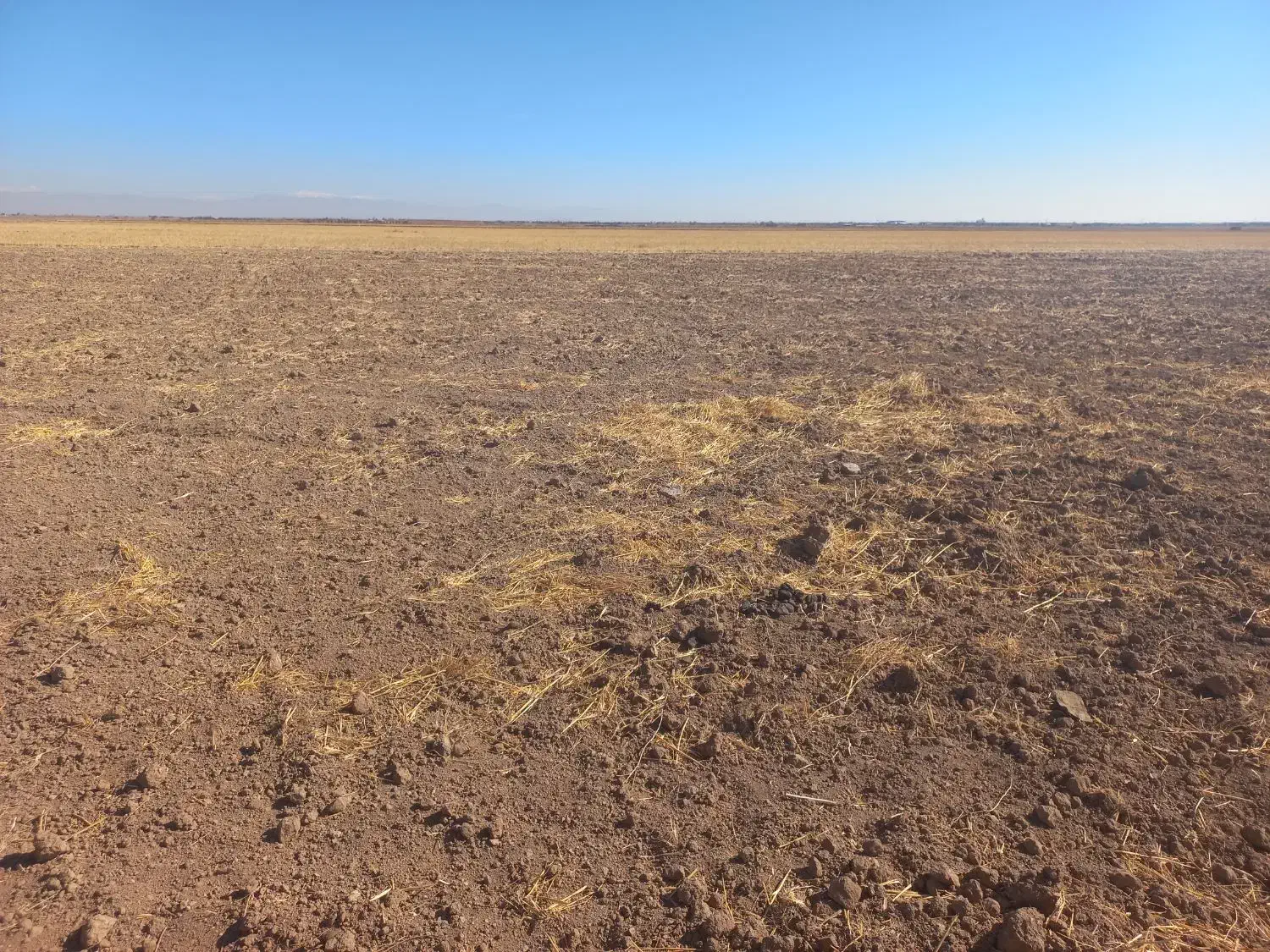 زمین کشاورزی ۳۸ هکتاری|فروش دفتر صنعتی، کشاورزی، تجاری|تاکستان, |دیوار