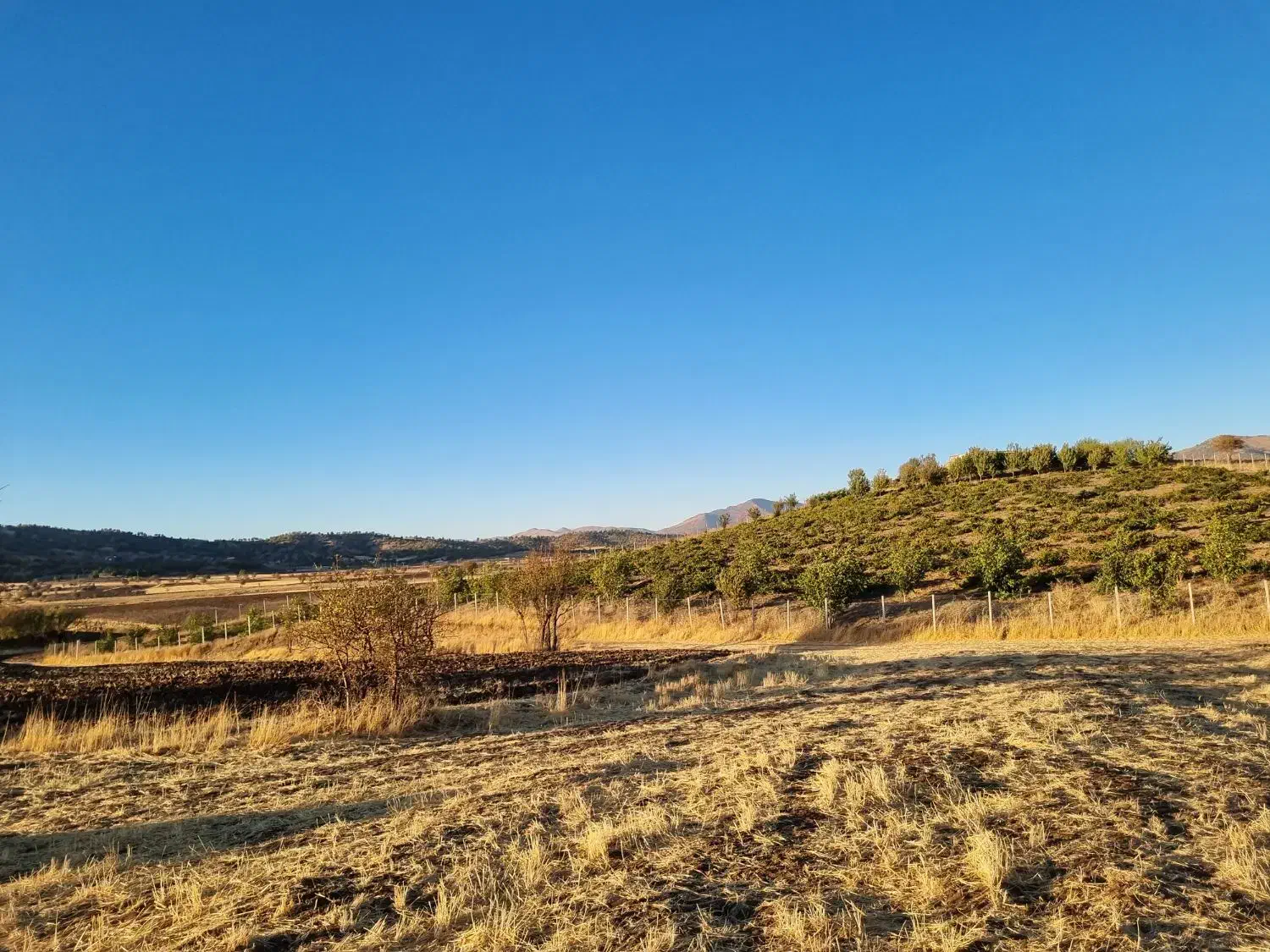 فروش|فروش خانه و ویلا|بانه, |دیوار