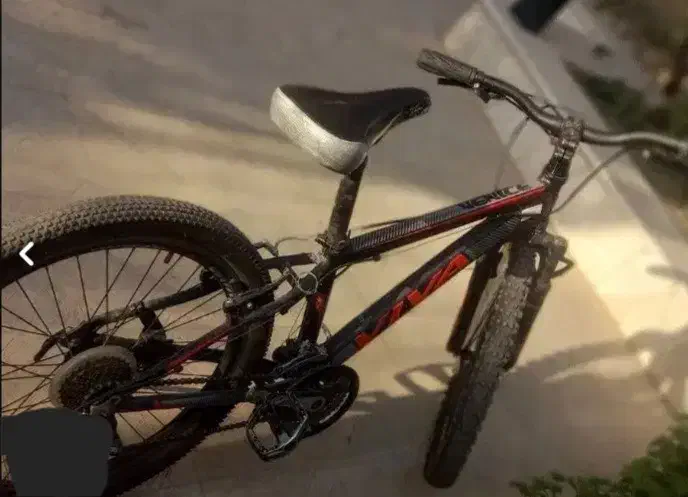 دوچرخه ویوا سایز ۲۴|دوچرخه، اسکیت، اسکوتر|تهران, مرزداران|دیوار