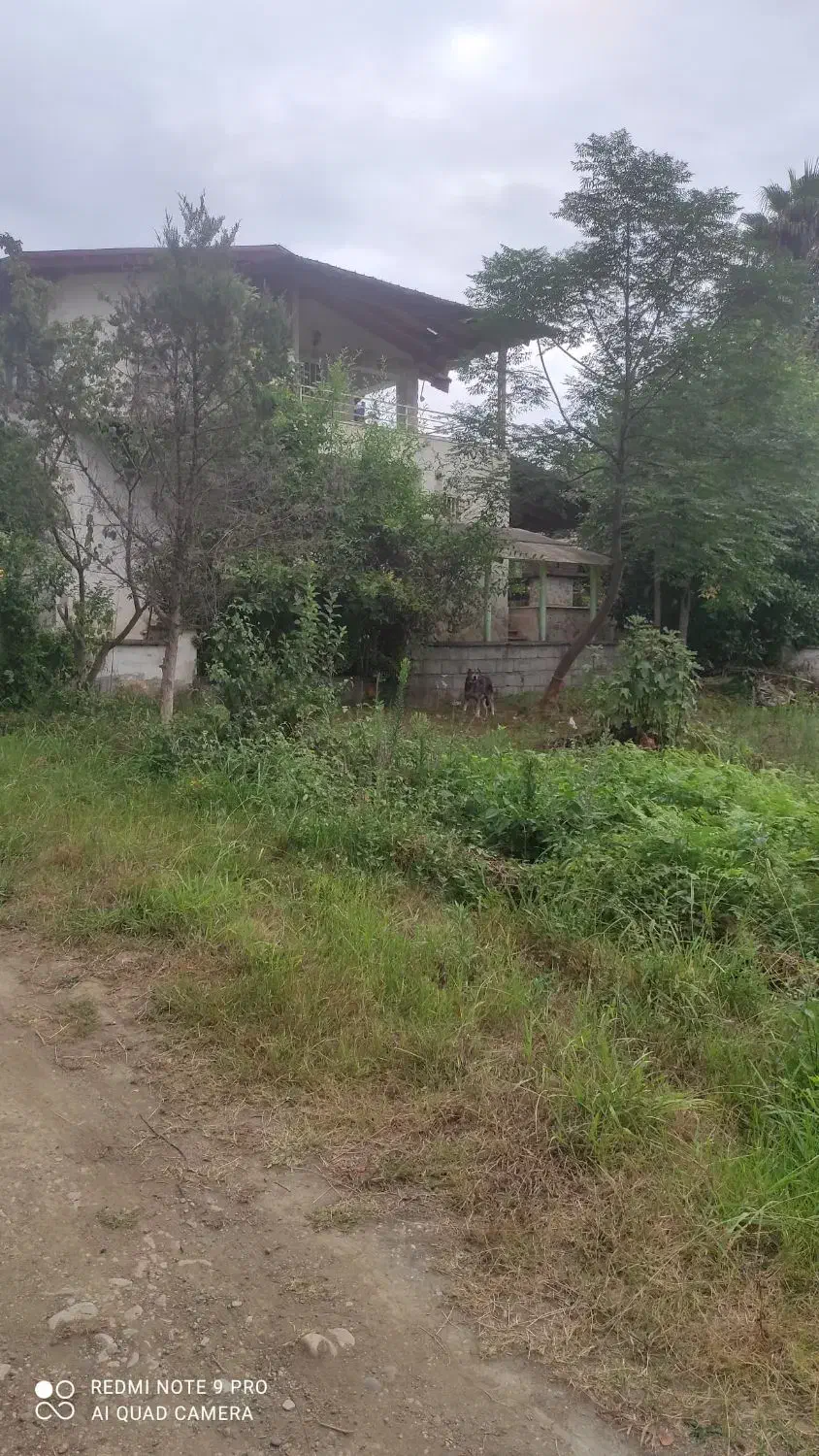 زمینی به مساحت 900 متر شهرکی|فروش زمین و ملک کلنگی|کتالم و سادات شهر, |دیوار