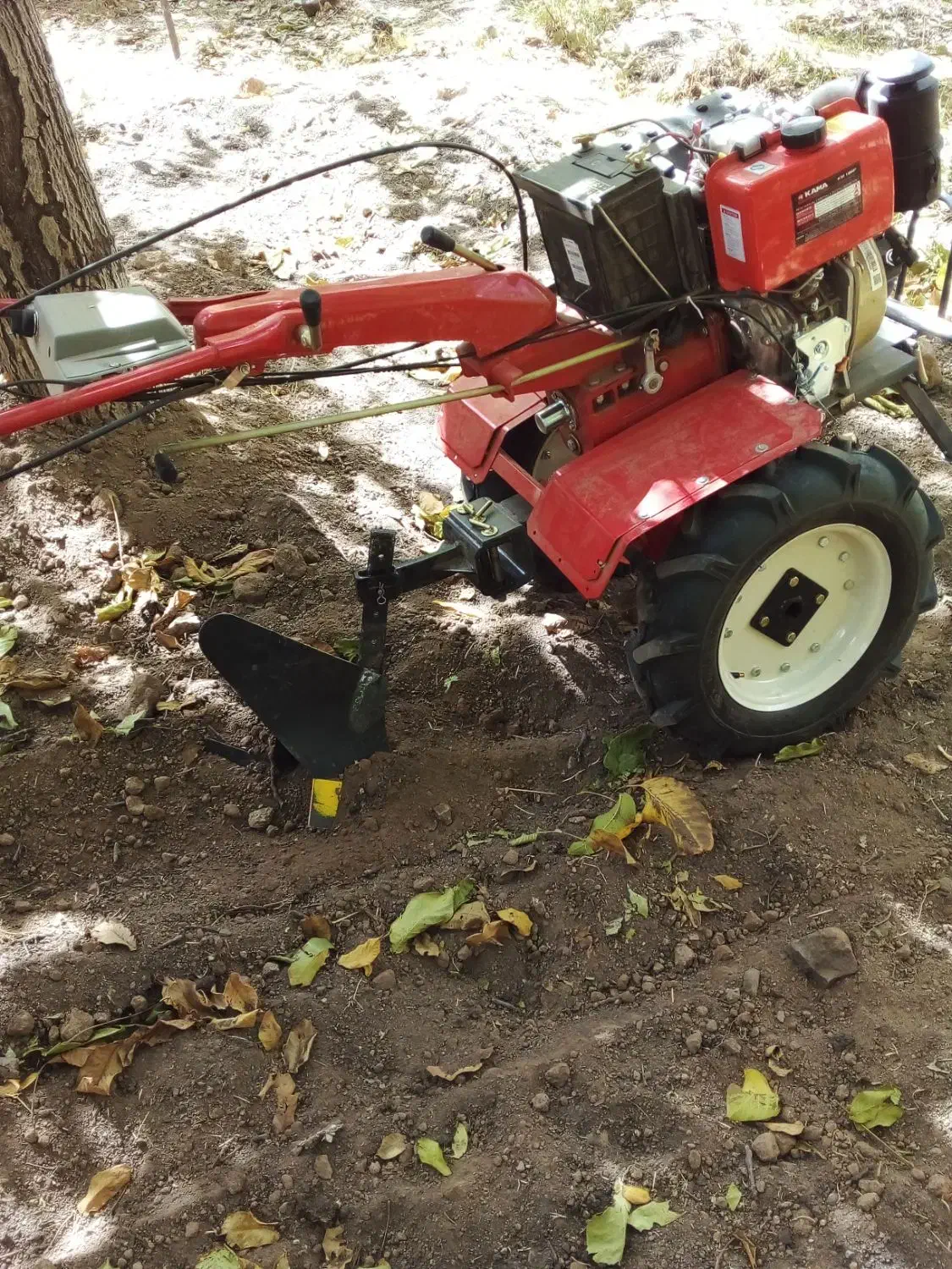 تیلر|خدمات باغبانی و درختکاری|بافت, |دیوار