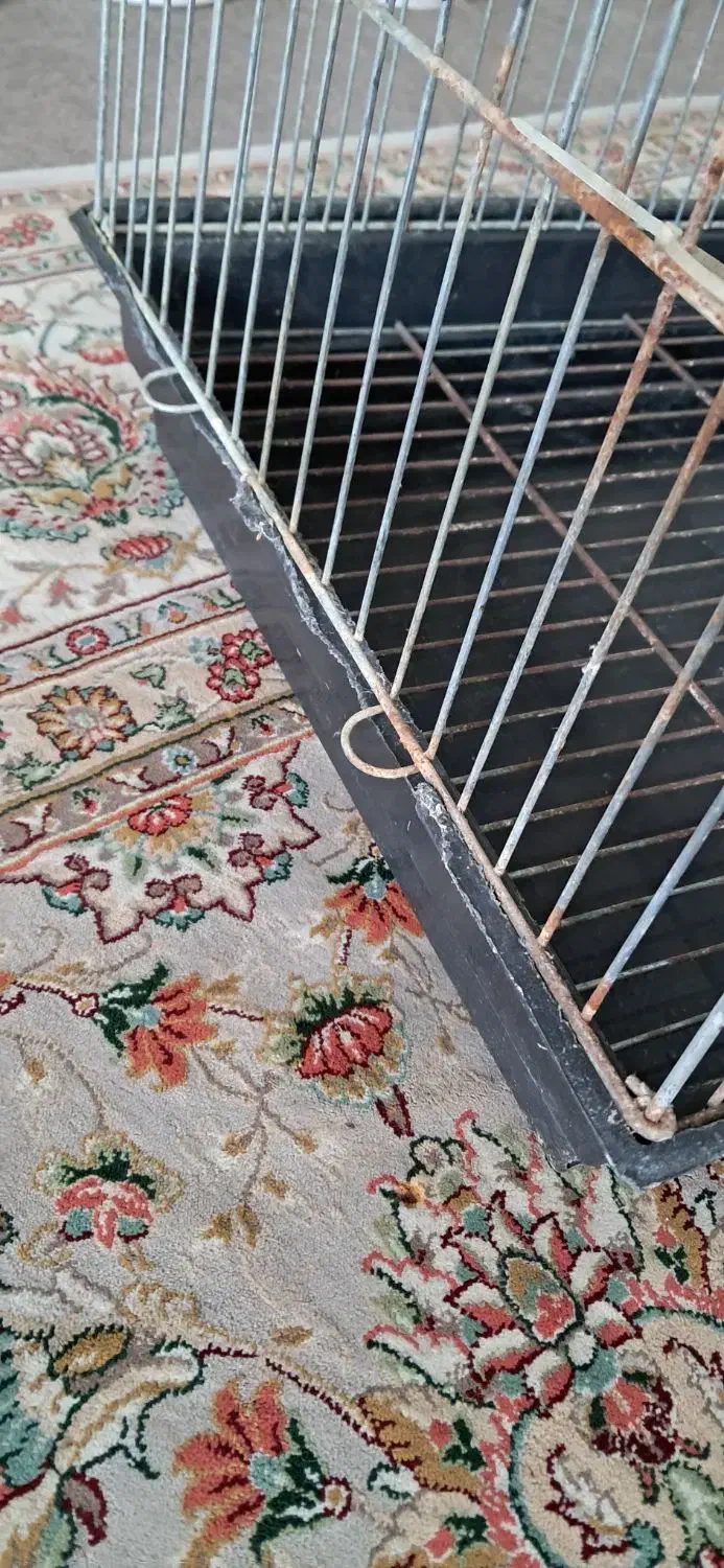 قفس ولانه پرنده|لوازم جانبی حیوانات|گرگان, |دیوار