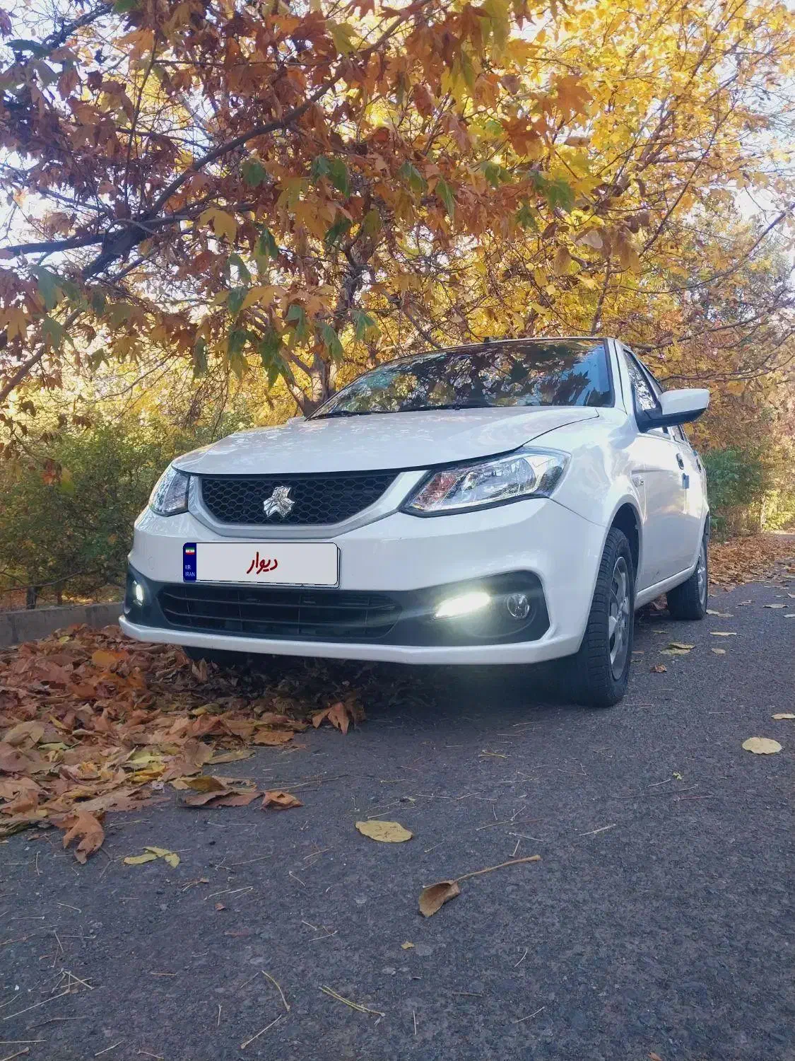 ساینا اس خشک|خودرو سواری و وانت|خوی, |دیوار