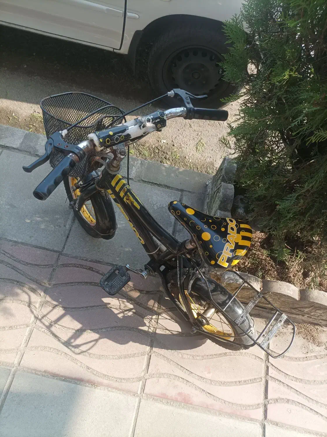 دوچرخه سایز ۱۲|دوچرخه، اسکیت، اسکوتر|بندر انزلی, پردیس|دیوار