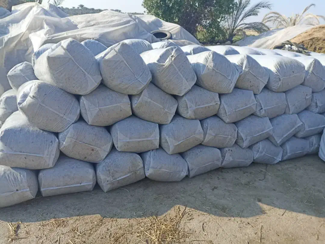 ذرت علوفه ای|عمده‌فروشی|بهبهان, |دیوار