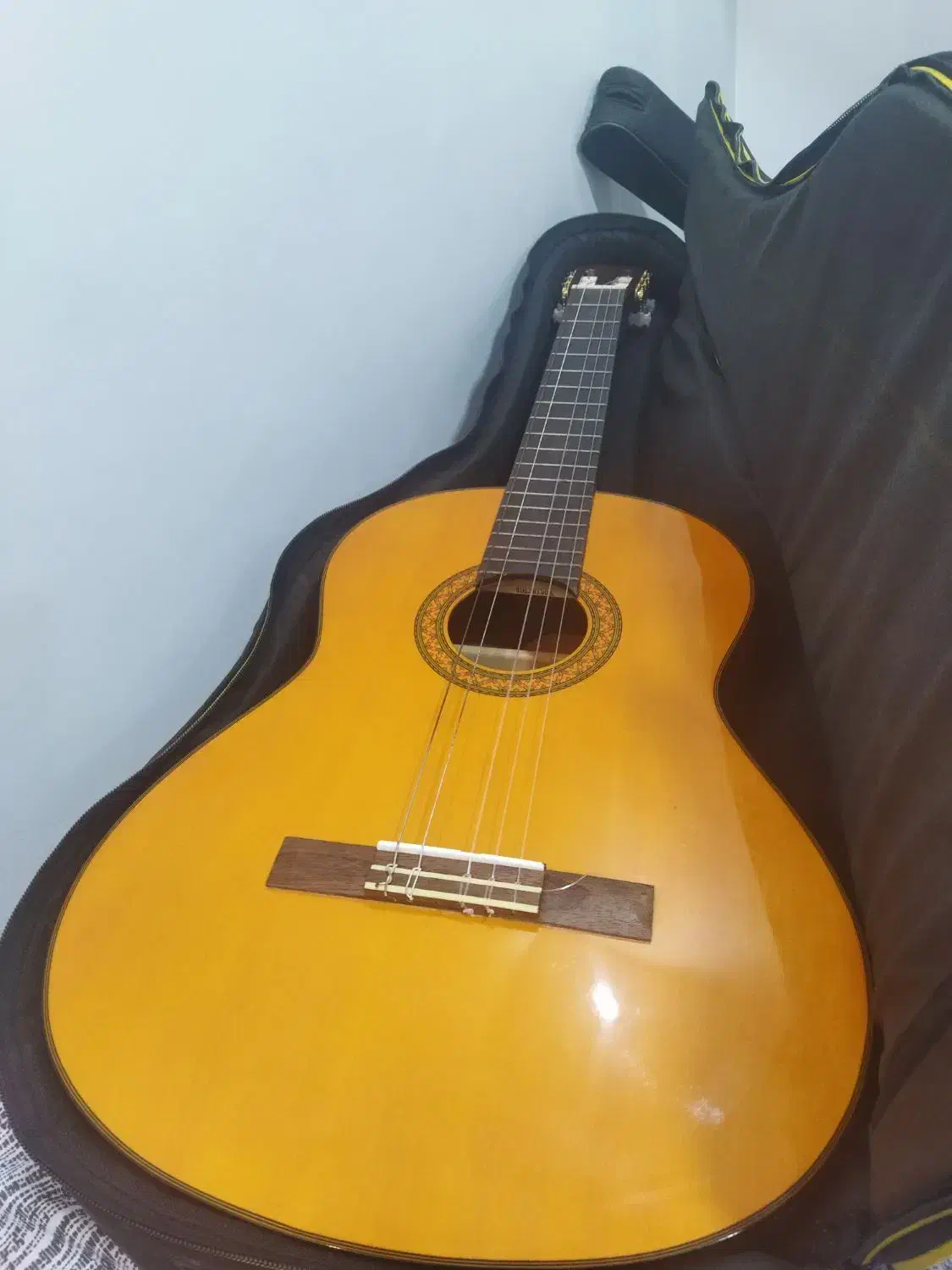 گیتار یاماها c70 ساز دهنی|گیتار، بیس، امپلیفایر|بندر انزلی, باغ زمانی|دیوار