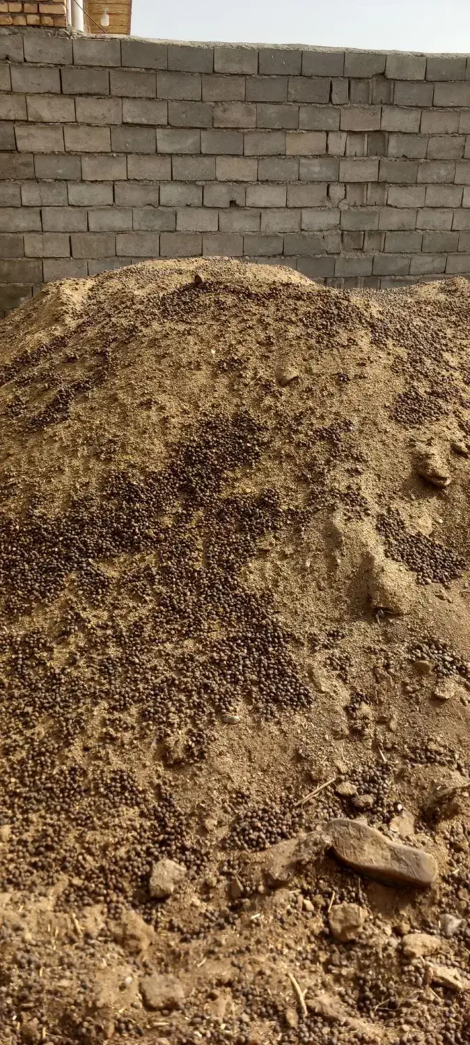 کودحیوانی|لوازم جانبی حیوانات|بردسکن, |دیوار