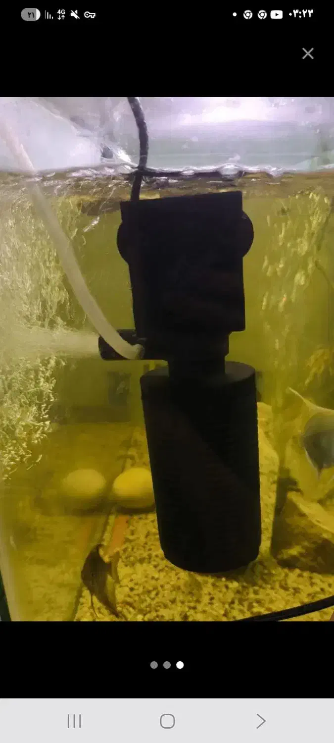 پمپ اب و پمپ اکسیژن آکواریوم هردوتاشون|ماهی|زاهدان, |دیوار