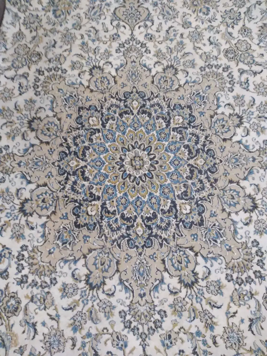 دوقطعه فرش کاشان بیدگل کاشان ۷۰۰شانه|فرش|مشهد, فلسطین|دیوار