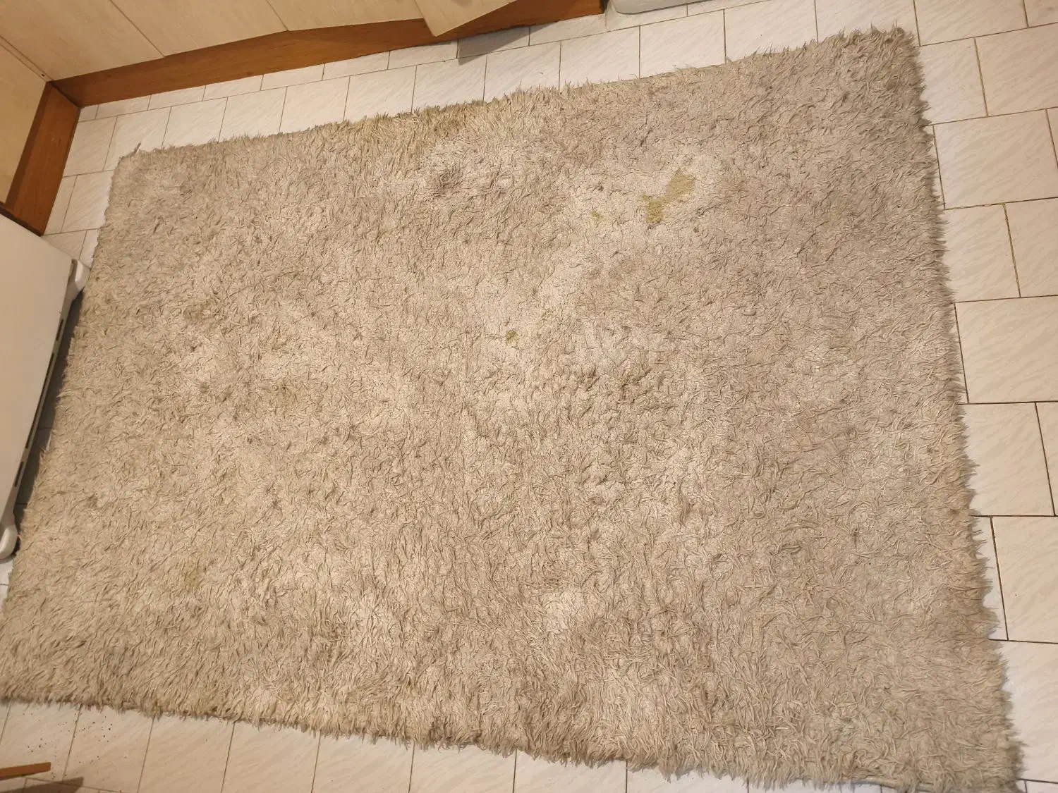 دو عدد فرش|فرش|مشهد, هفت تیر (حافظ)|دیوار