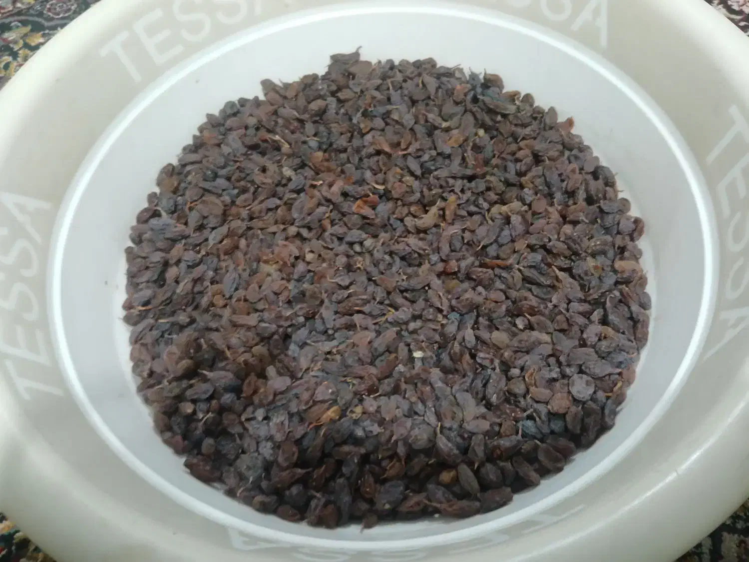 کشمش تر وتمیز|خوردنی و آشامیدنی|یاسوج, |دیوار