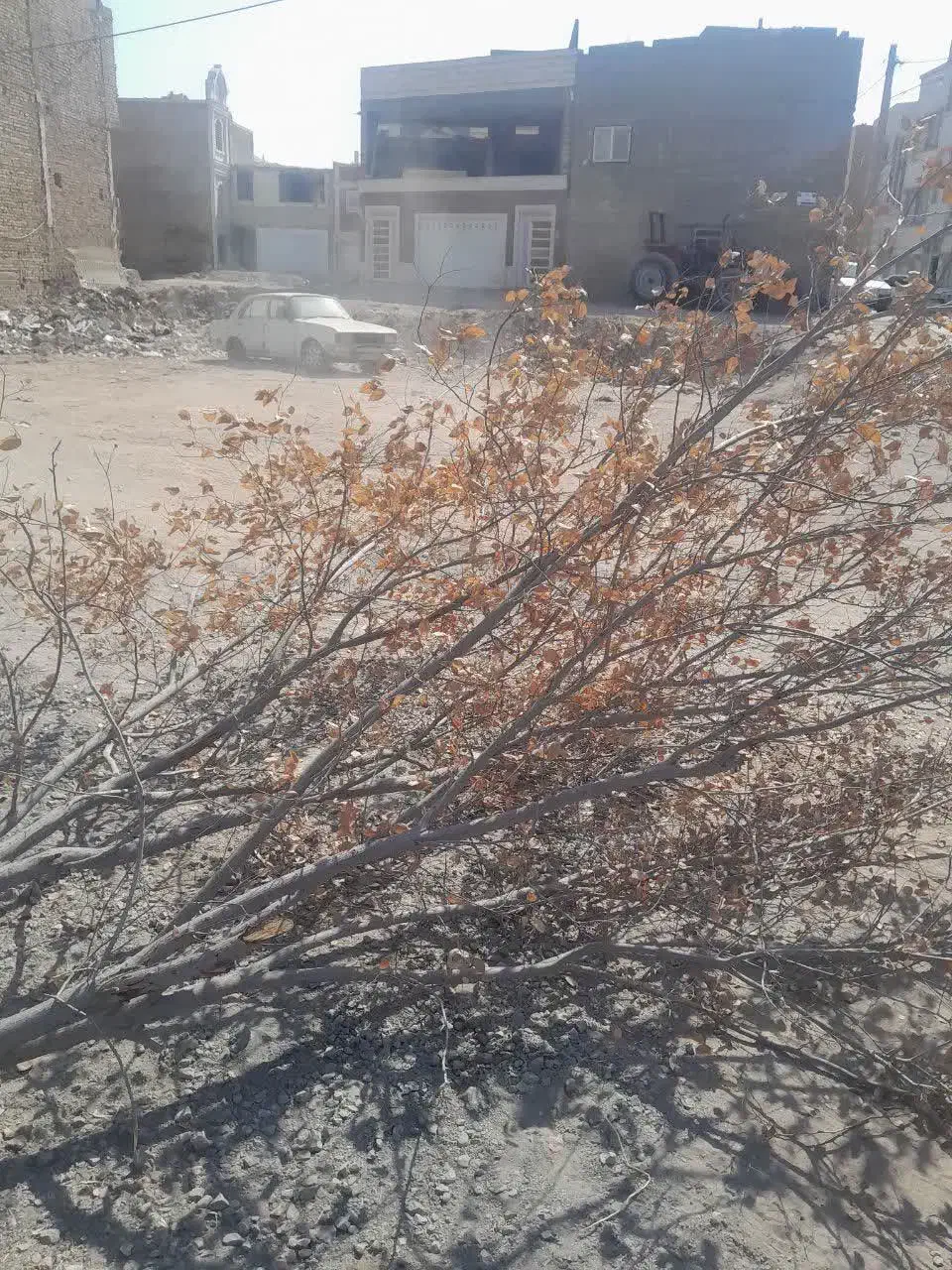 باغبانی مجتمع|خدمات باغبانی و درختکاری|یزد, |دیوار