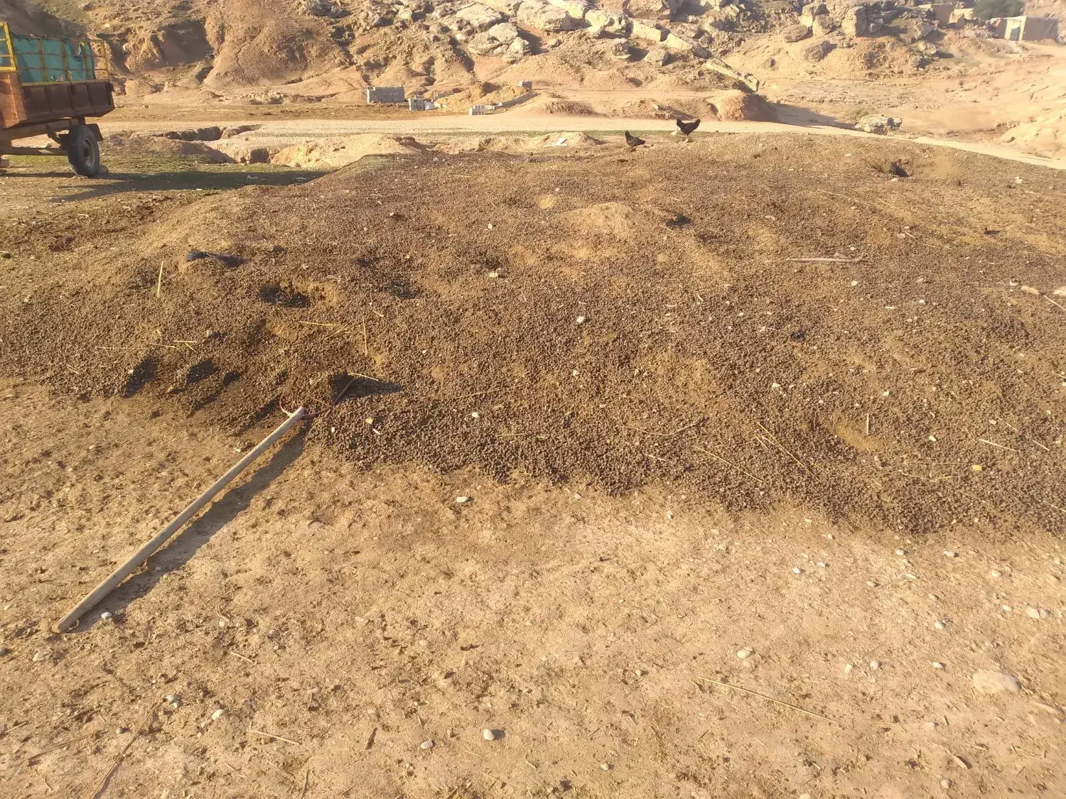 کود|خدمات باغبانی و درختکاری|شوشتر, |دیوار