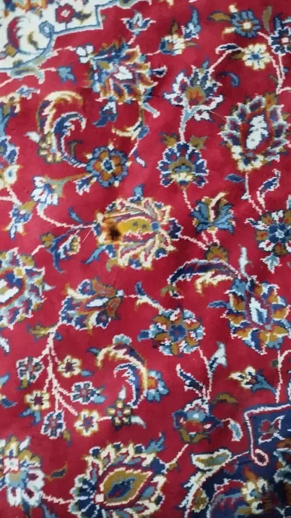 فرش|فرش|قرچک, مهدیه|دیوار