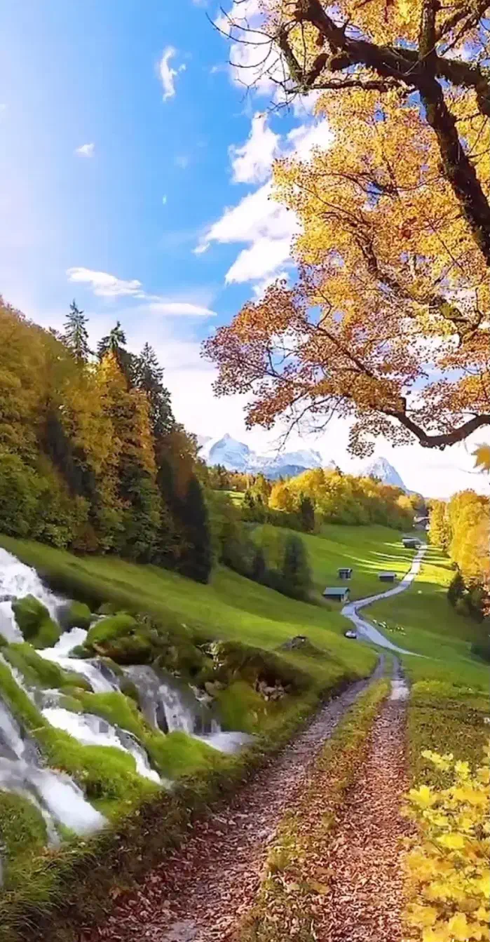 طبیعت گردی|فعالیت داوطلبانه|اهواز, اهواز|دیوار