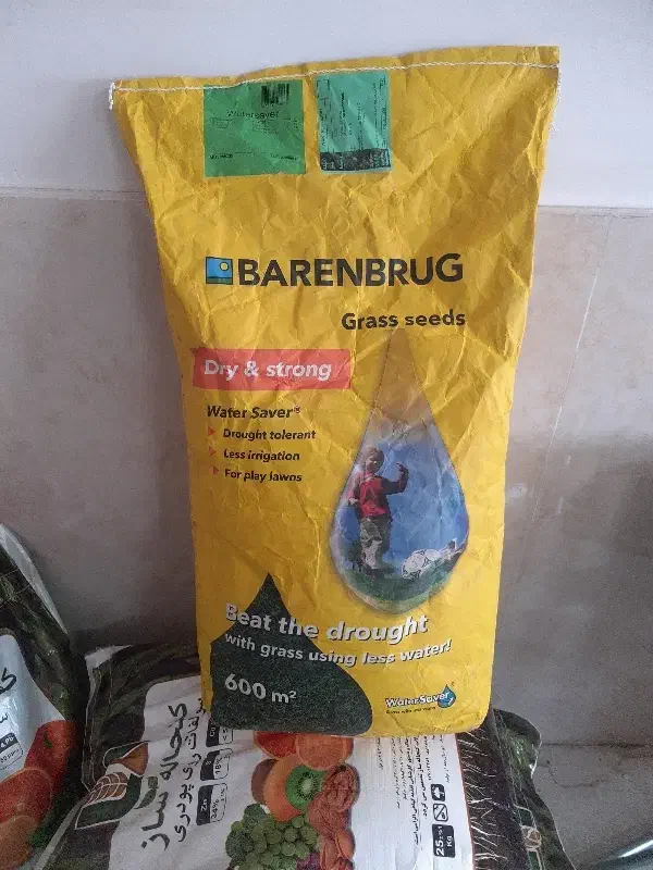 بذر چمن واترسیور|گل و گیاه طبیعی|مشهد, رضاشهر|دیوار