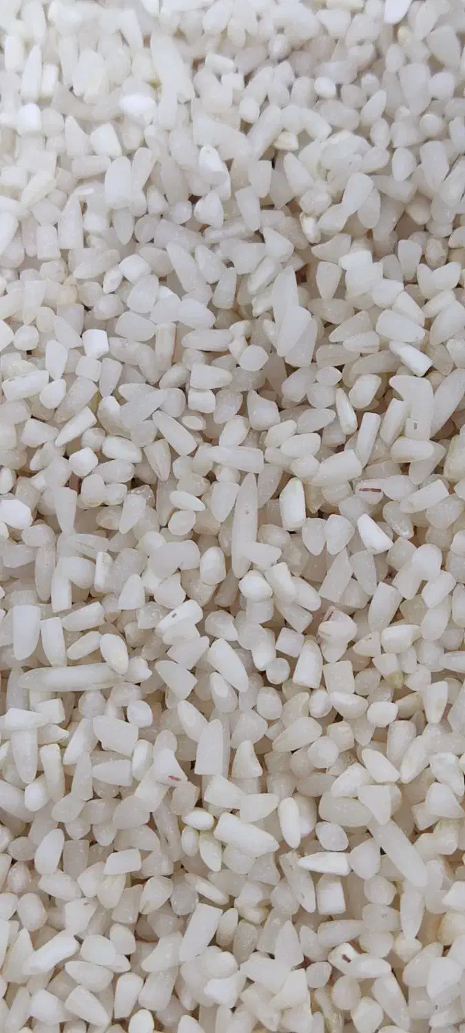 لاشه هاشمی آستانه اشرفیه|خوردنی و آشامیدنی|قم, یخچال قاضی|دیوار