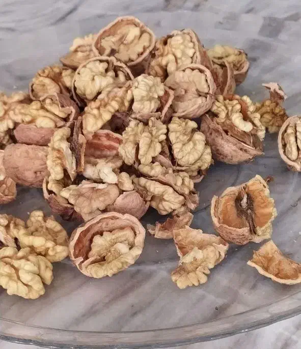 گردو ارگانیک شاه جهان مغز سفید و پرچرب|خوردنی و آشامیدنی|شیروان (خراسان), |دیوار