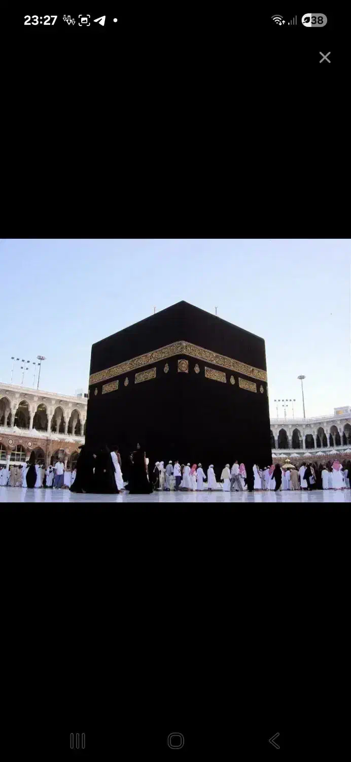 فروش فیش حج عمره مفرده ۳ عدد|تور و چارتر|لاهیجان, شقایق|دیوار