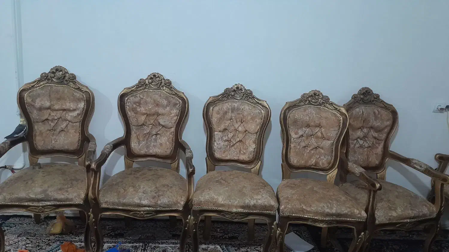 صندلی فروشی|صندلی و نیمکت|زاهدان, |دیوار