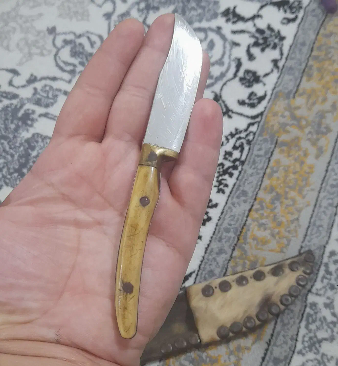 کارد شاخ|کلکسیون اشیاء عتیقه|گرگان, |دیوار