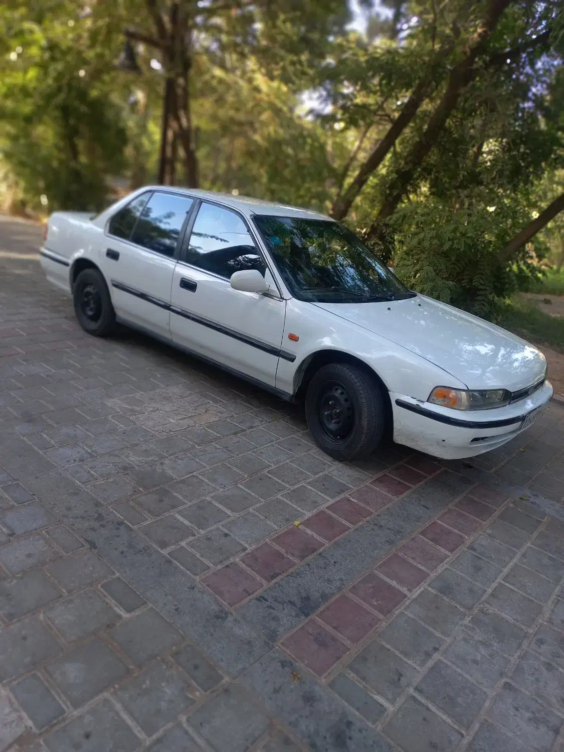 هندا آکورد ۱۳۹۳|خودرو سواری و وانت|خلیل آباد, |دیوار