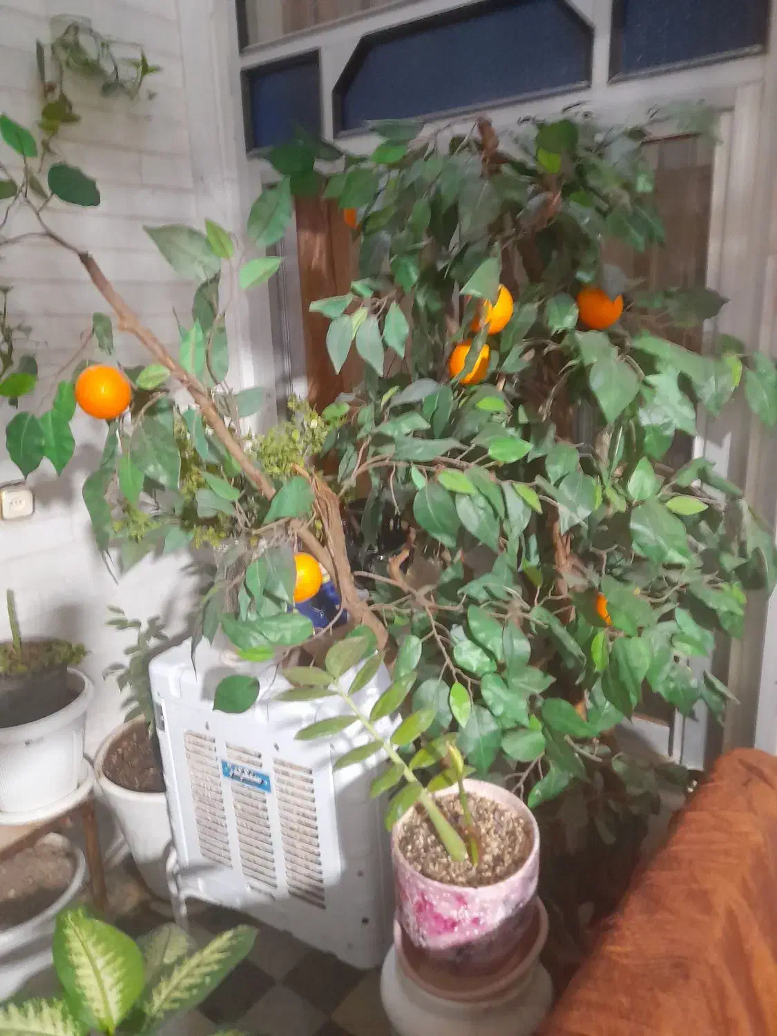 یک واحد اپارتمان|فروش آپارتمان|مهدی شهر, |دیوار