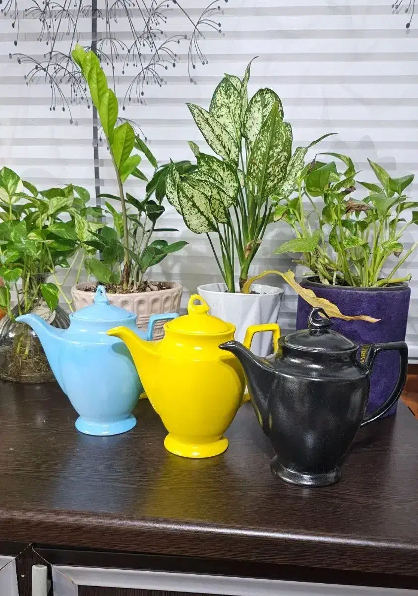 قوری های رنگی|قوری، کتری، قهوه‌ساز دستی|لنگرود, |دیوار