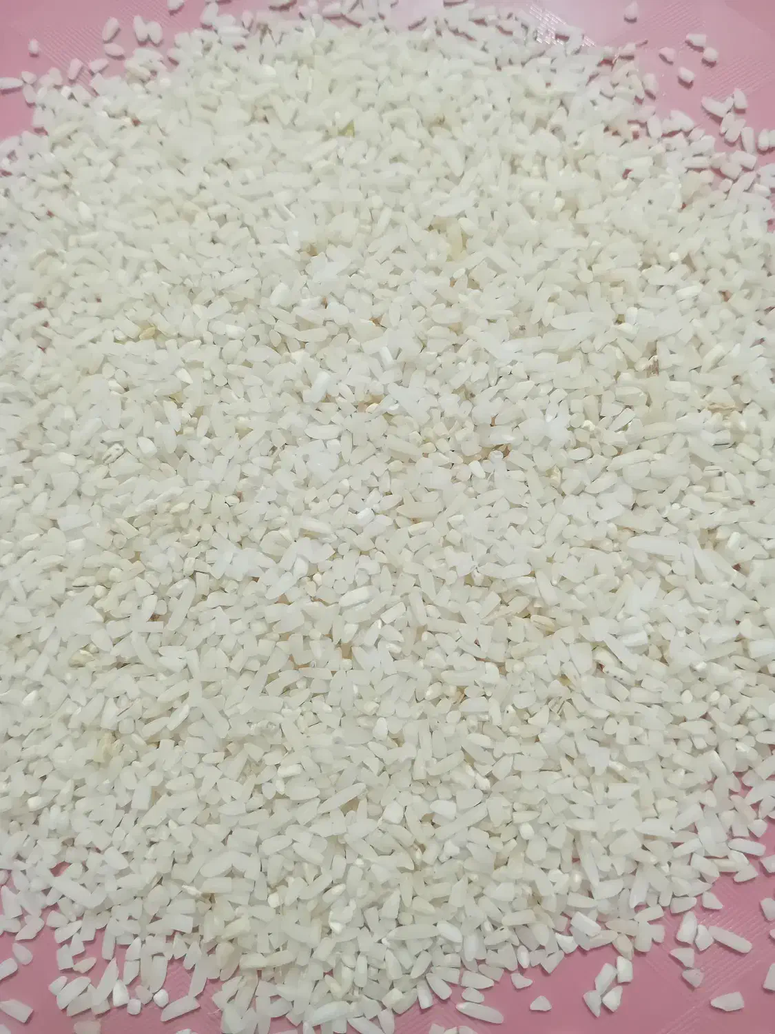 برنج نیم دانه هاشمی آستانه|خوردنی و آشامیدنی|رشت, توشیبا|دیوار