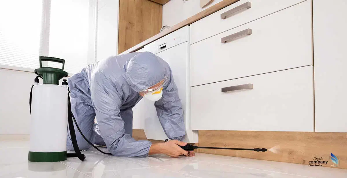 انگل زدایی میکروب زدایی الکل زدایی منازل حجرها|خدمات نظافت|کرمان, |دیوار