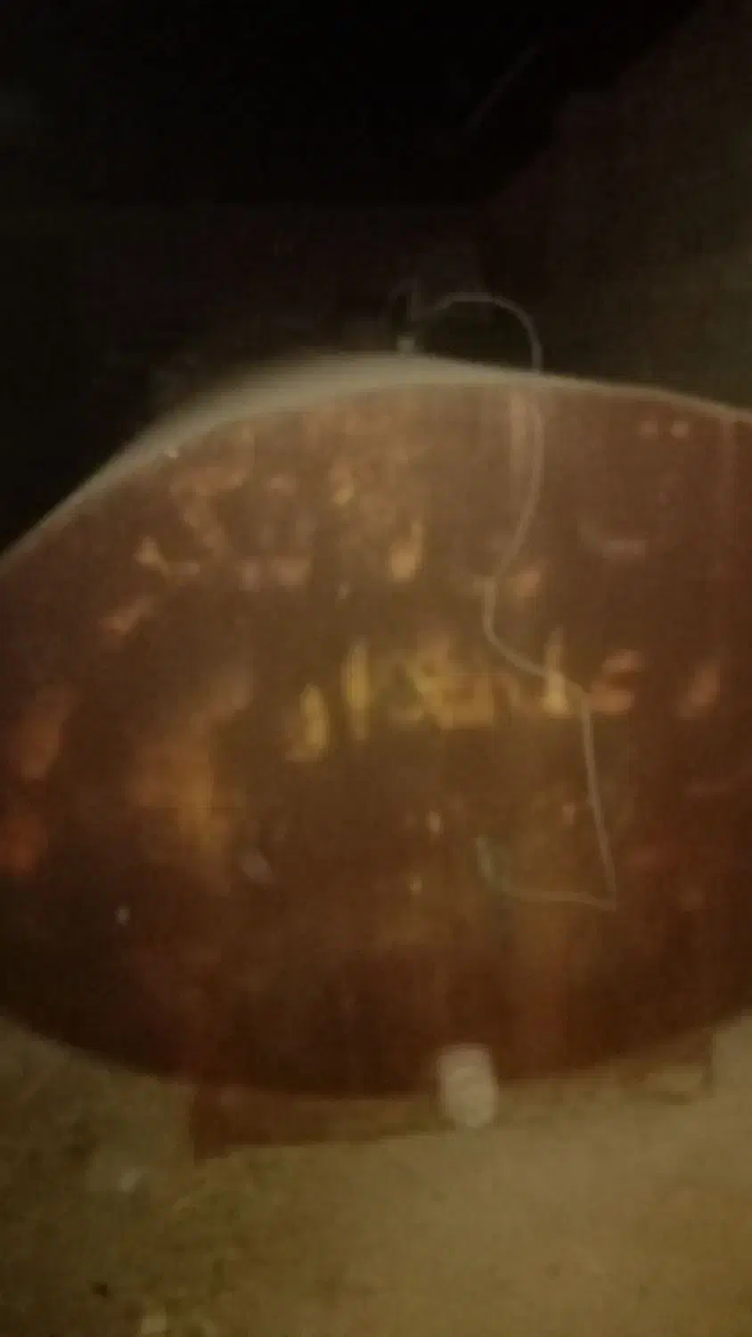 تانکر آب ۱۰هزار لیتر ورق ۵میل|ماشین‌آلات صنعتی|سعدآباد, |دیوار